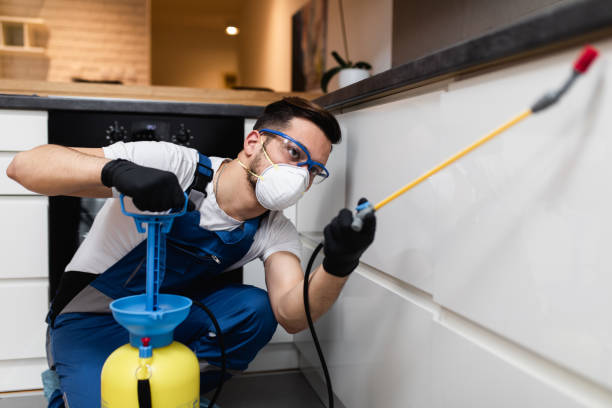 Reliable Channel Islands Beach, CA Pest Control Solutions