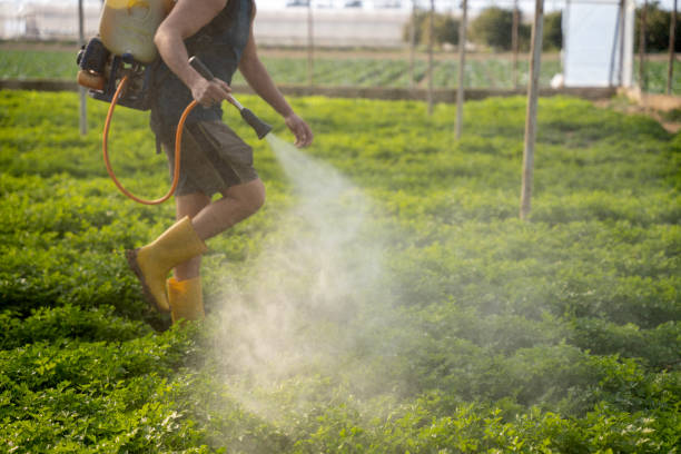 Best Pest Inspection Near Me  in Channel Islands Beach, CA