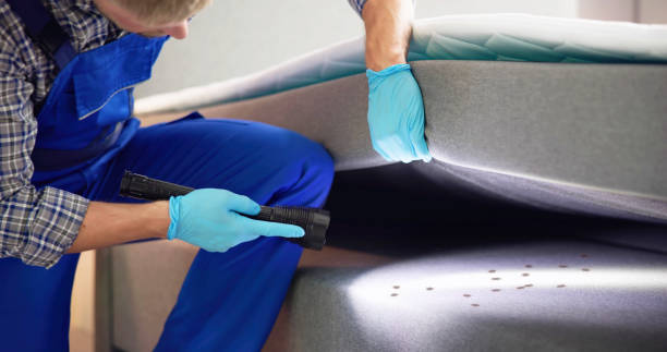Best Exterminator Services  in Channel Islands Beach, CA
