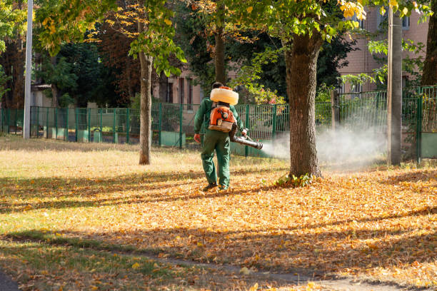 Best Commercial Pest Control Services  in Channel Islands Beach, CA