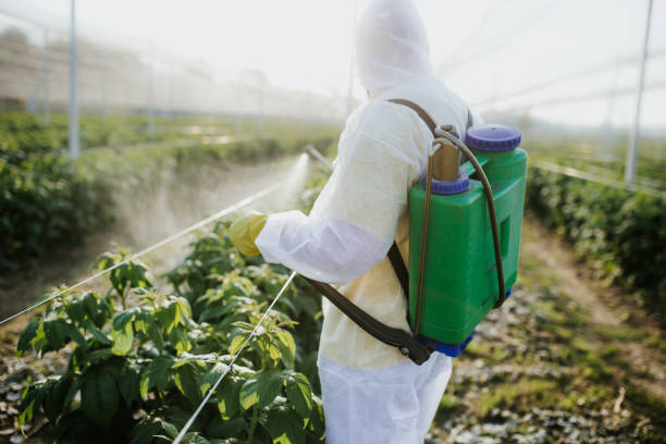 Best Pest Control Near Me  in Channel Islands Beach, CA